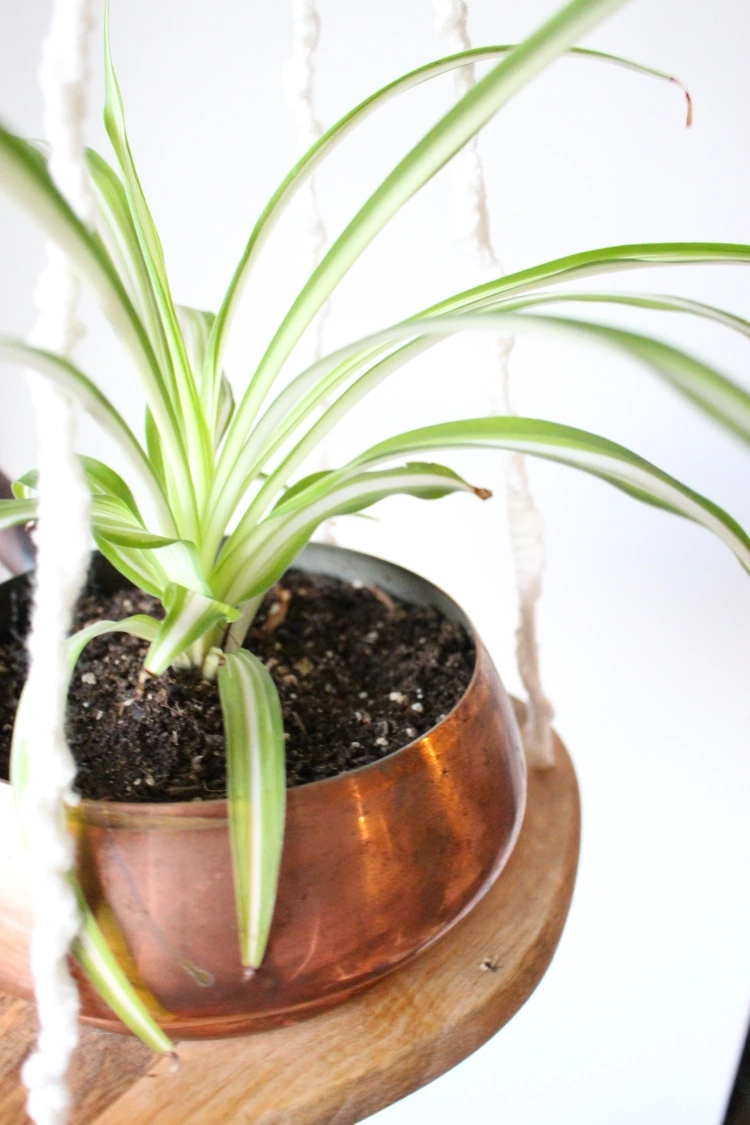 IKEA Hack | Turn This Cutting Board Into A Hanging Shelf