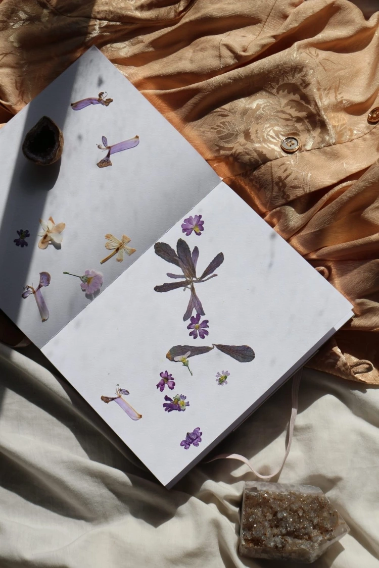 Pressed Flowers In Journal