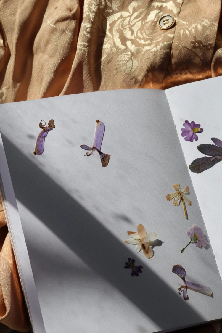 Pressed Flowers