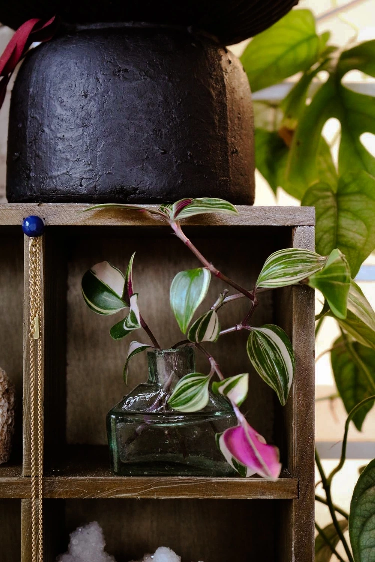 DIY: How To Make A Curio Cabinet