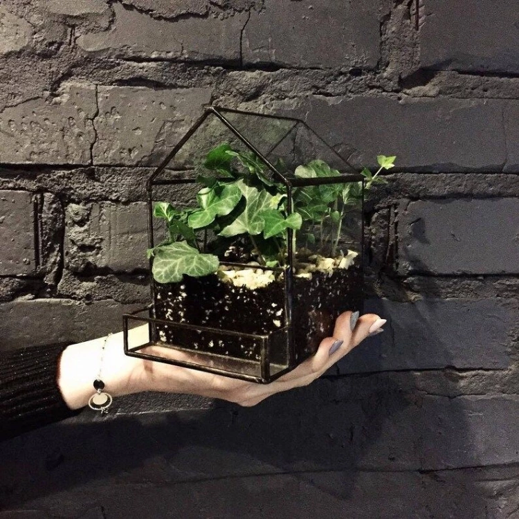 Glass House  Planter  Terrarium  Geometric Form  Flower Image 0