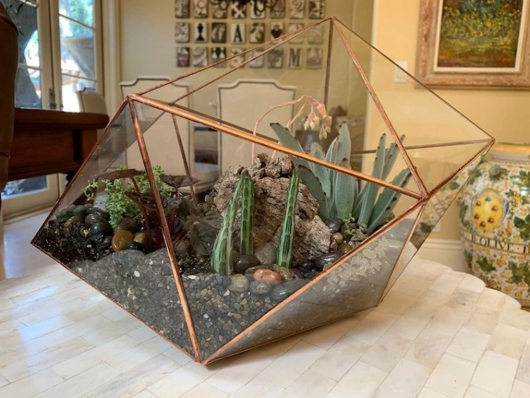 Large Glass Terrarium  Handmade Geometric Terrarium  Glass Image 2